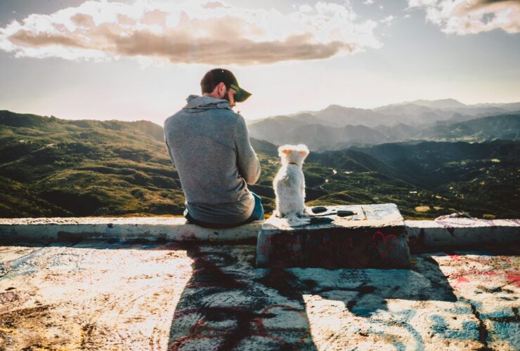 Tips for Prepping a Road Trip with Your Pet