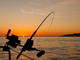 Fishing Trip