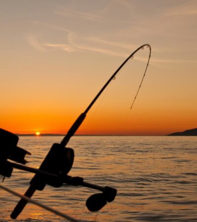 Fishing Trip