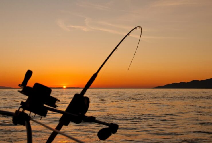Fishing Trip