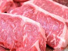 Global Beef Trade